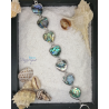 Bracelet en nacre d'abalone sept cœurs